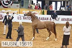 14usn_15615 proof