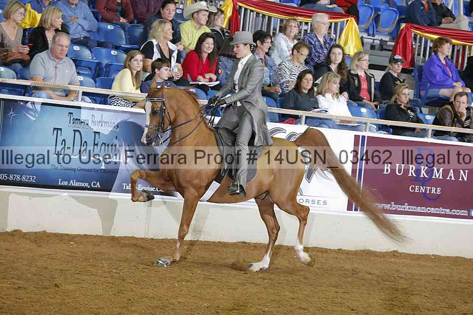 Proof 14usn_03462