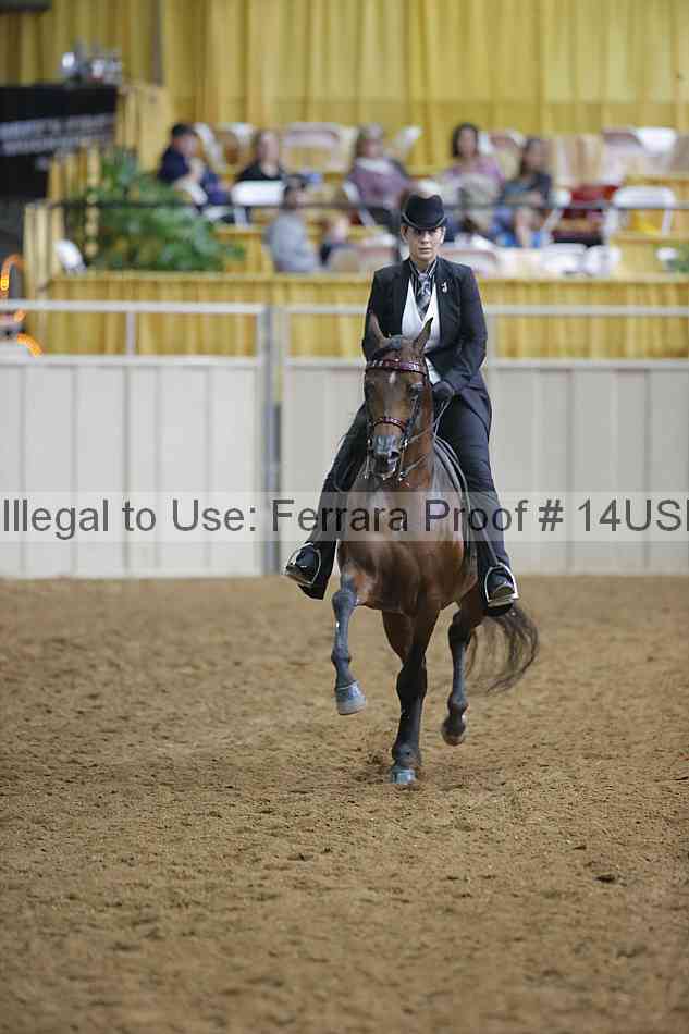 Proof 14usn_03468