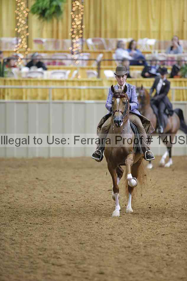 Proof 14usn_03473