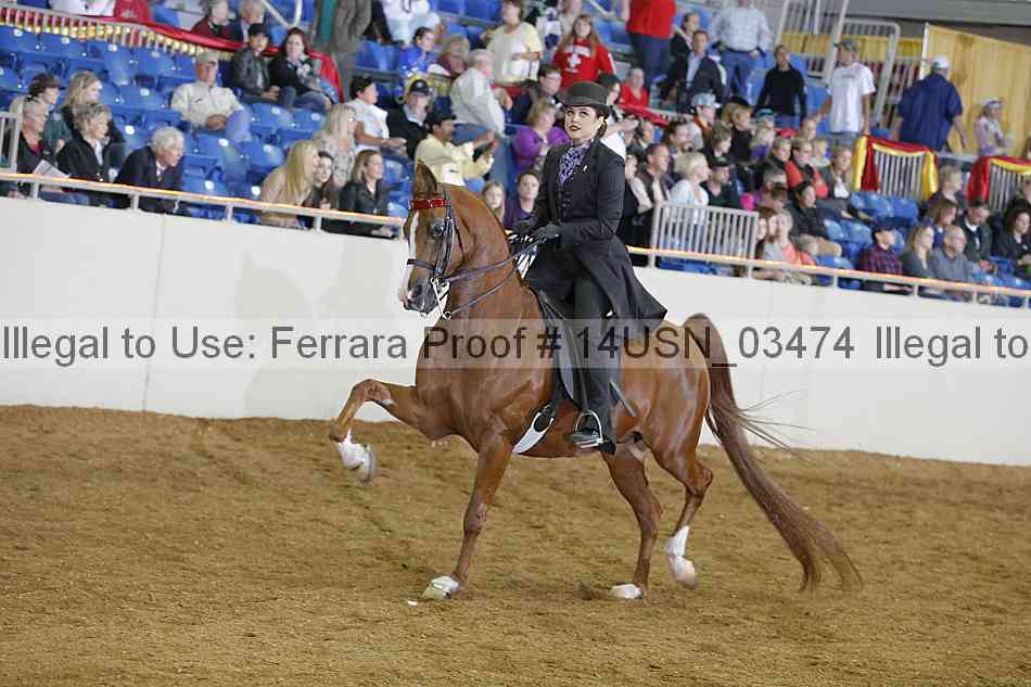 Proof 14usn_03474