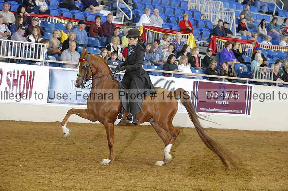 Proof 14usn_03475