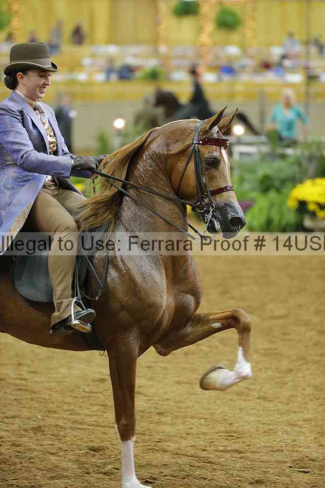 Proof 14usn_03478