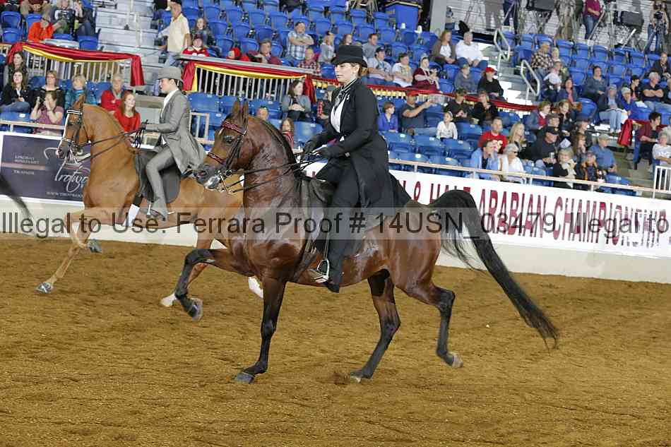 Proof 14usn_03479