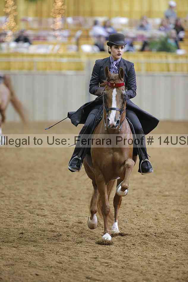 Proof 14usn_03482
