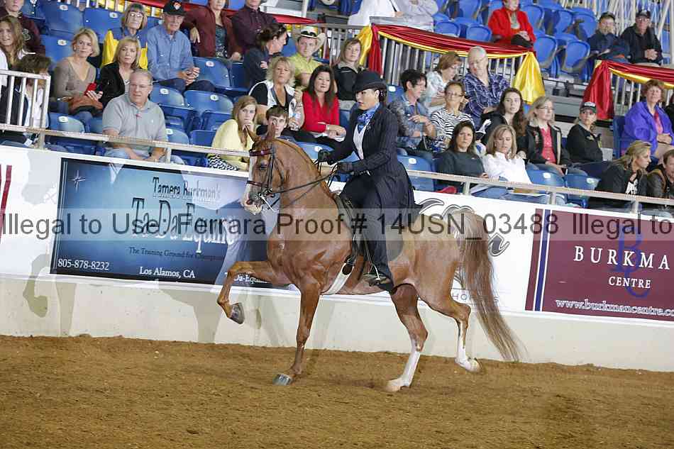 Proof 14usn_03488
