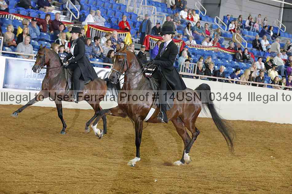 Proof 14usn_03494