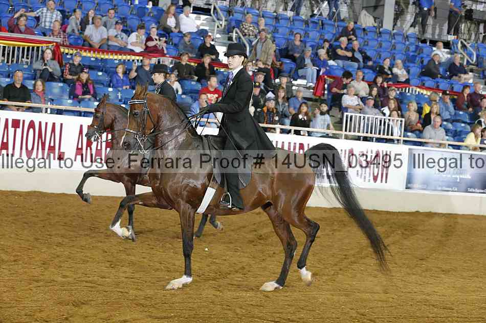 Proof 14usn_03495