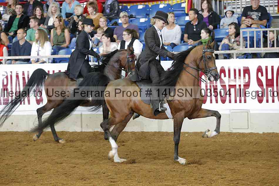 Proof 14usn_03504
