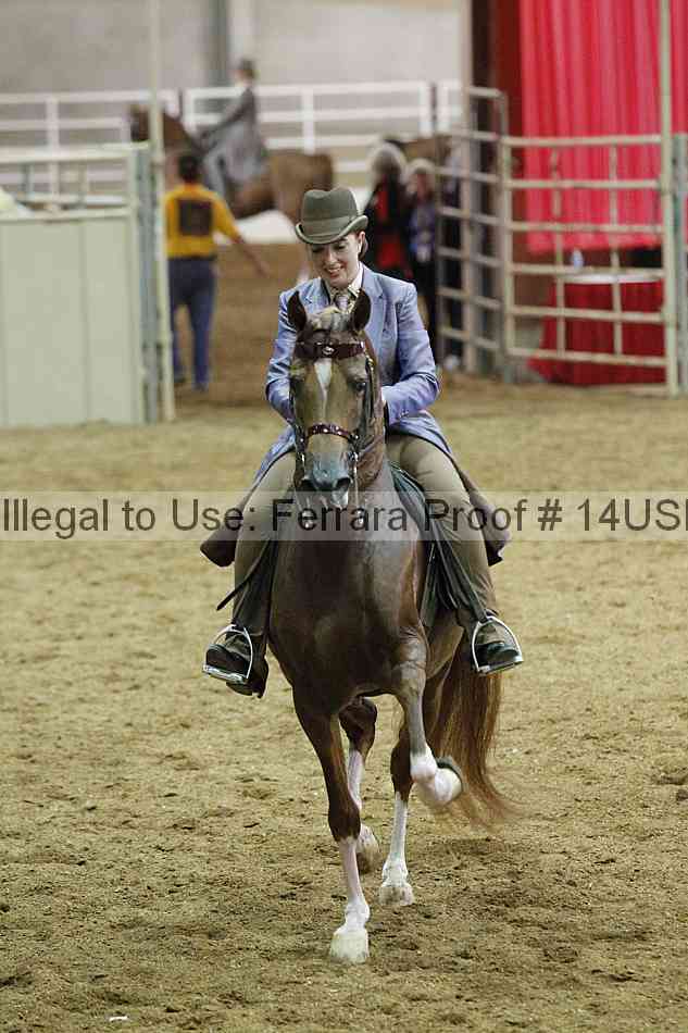 Proof 14usn_03515