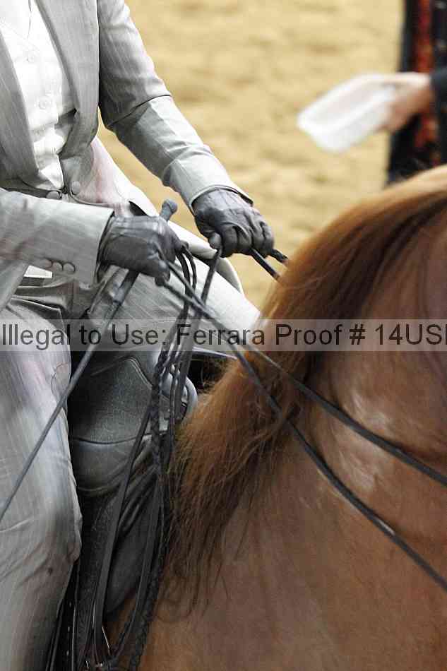 Proof 14usn_03521