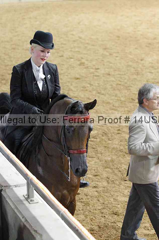 Proof 14usn_03526
