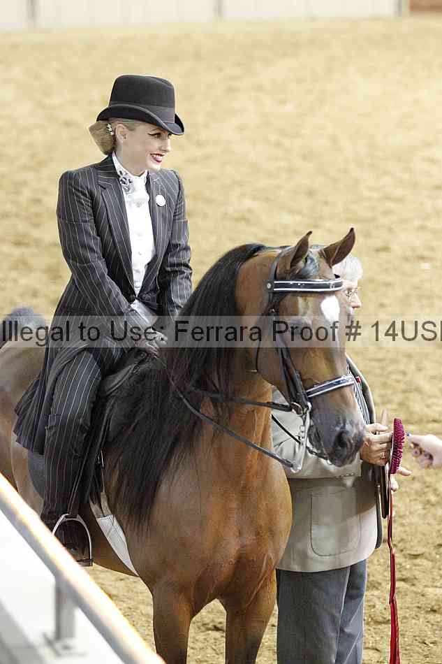 Proof 14usn_03529