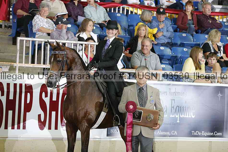 Proof 14usn_03530