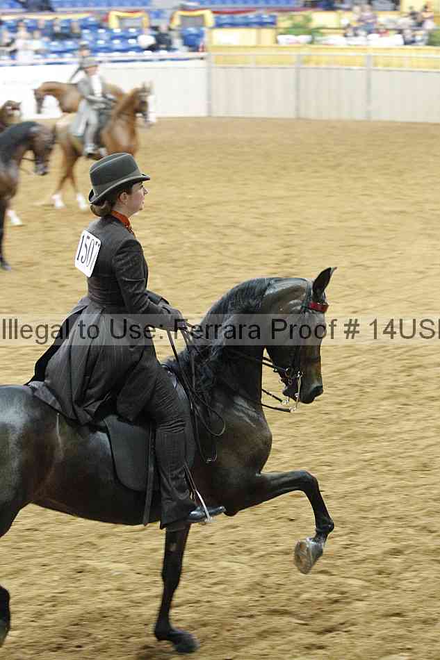 Proof 14usn_03533