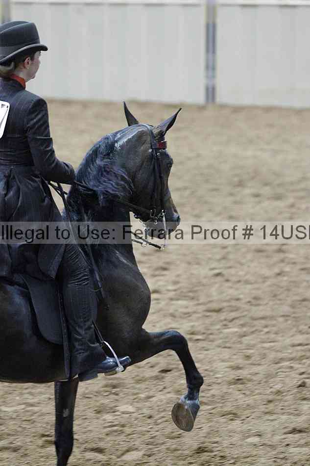 Proof 14usn_03534