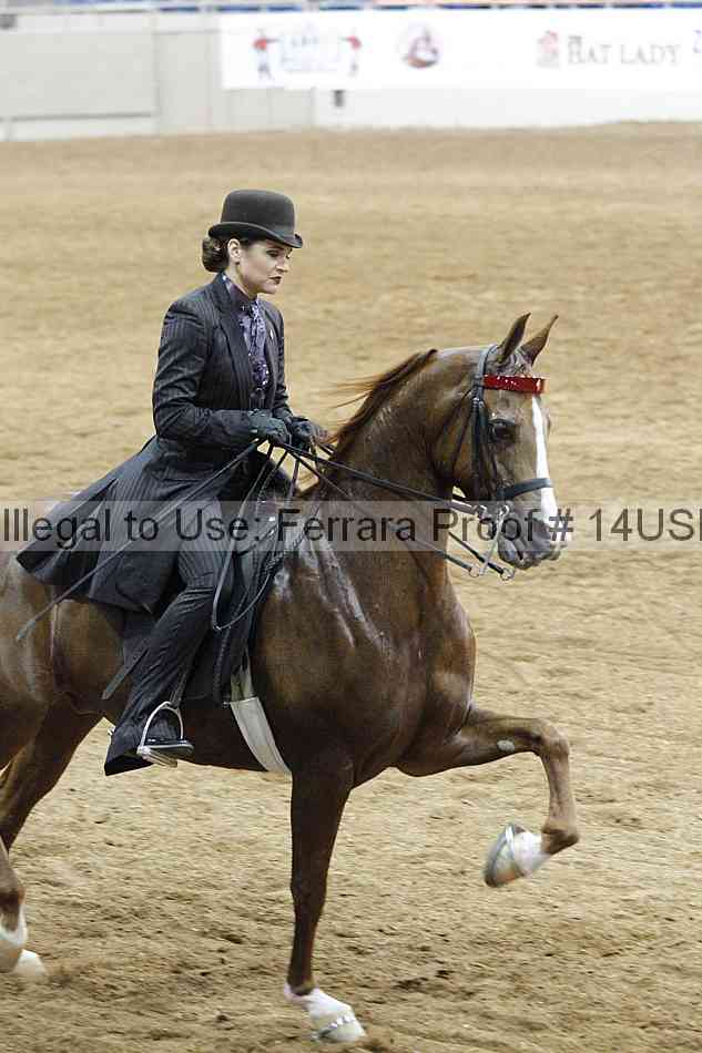 Proof 14usn_03535