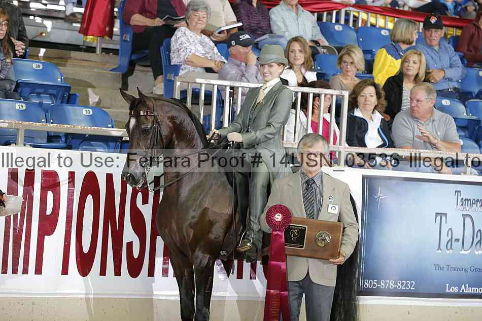 Proof 14usn_03536