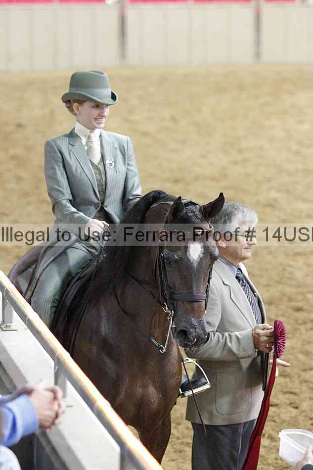 Proof 14usn_03538