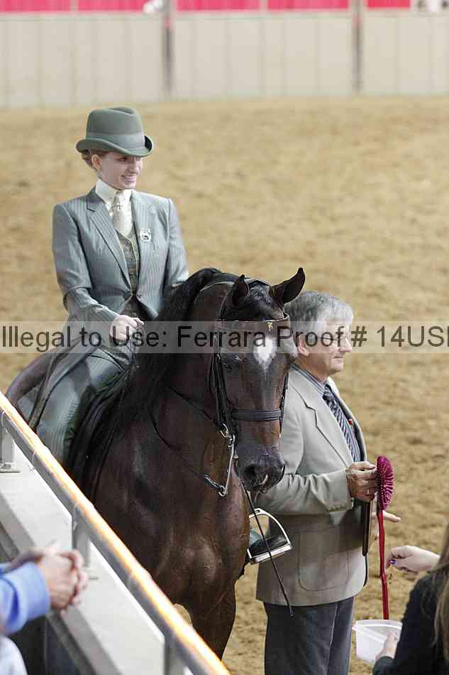 Proof 14usn_03539
