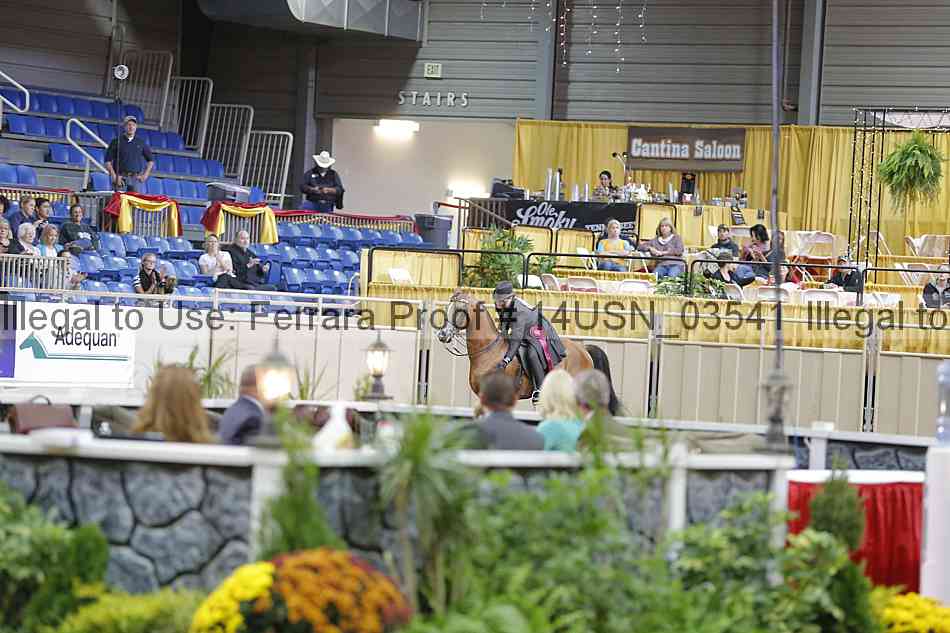 Proof 14usn_03541