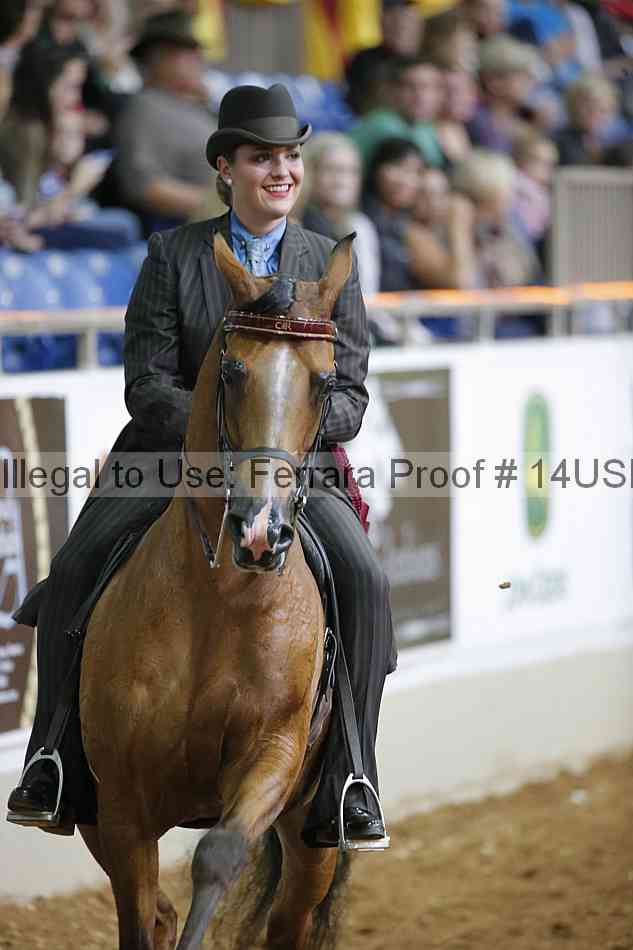 Proof 14usn_03543