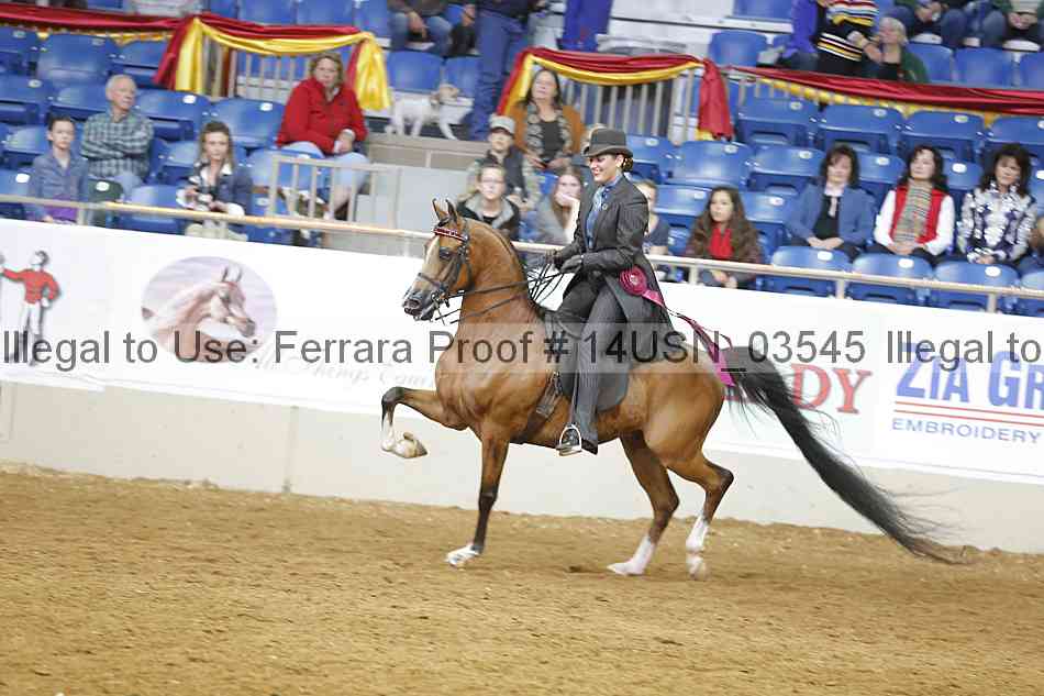 Proof 14usn_03545