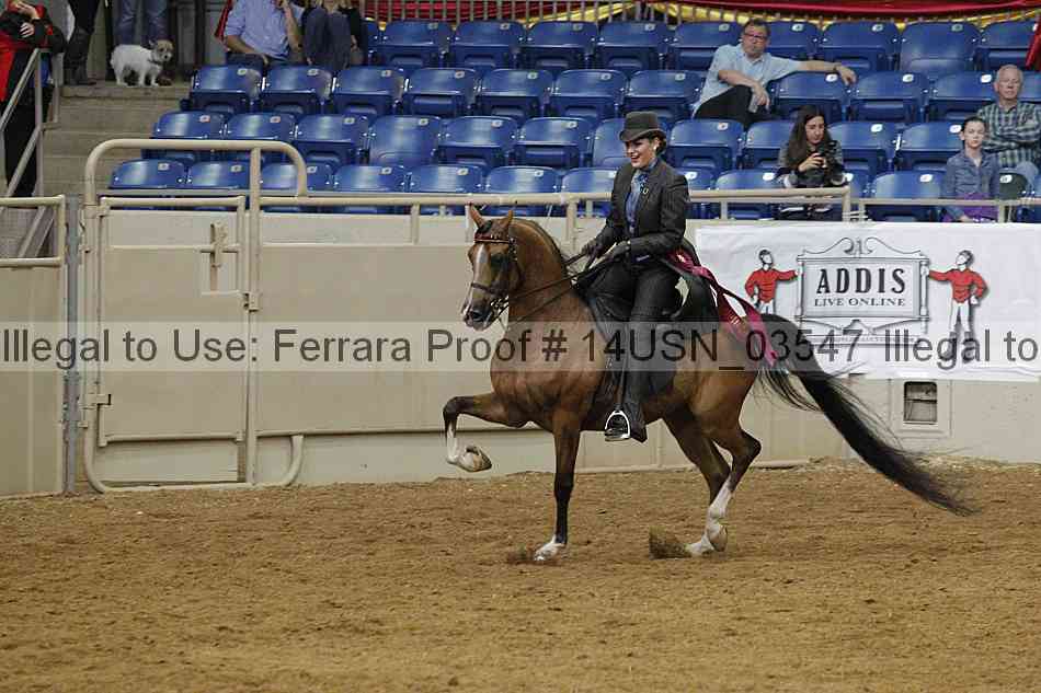 Proof 14usn_03547