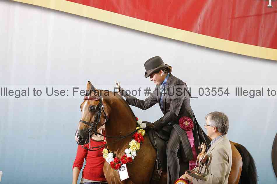 Proof 14usn_03554