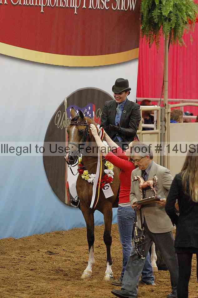 Proof 14usn_03561