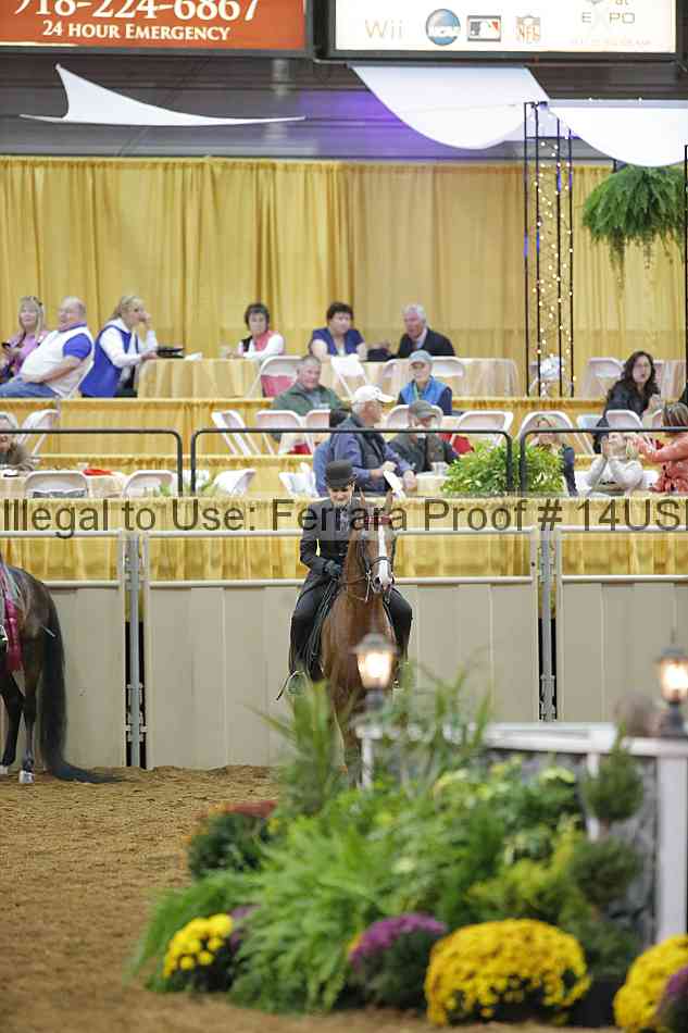 Proof 14usn_03565