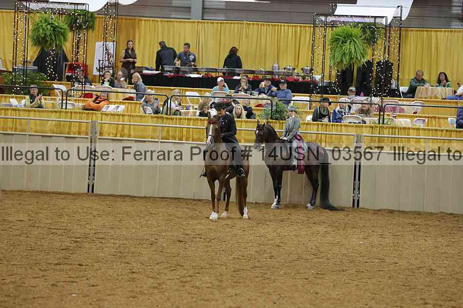 Proof 14usn_03567