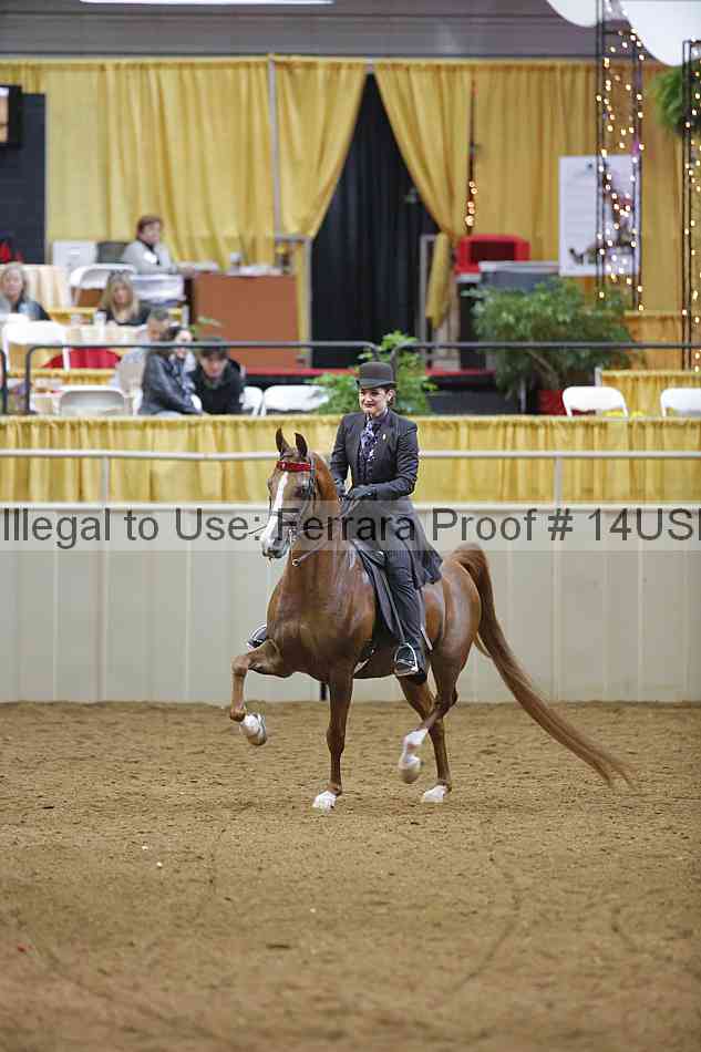 Proof 14usn_03568