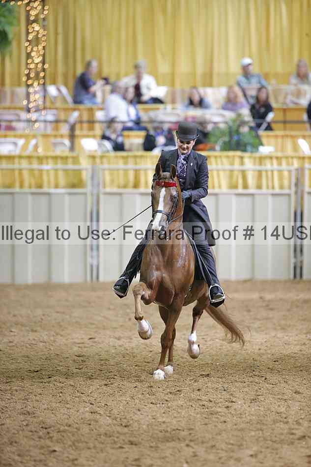 Proof 14usn_03570