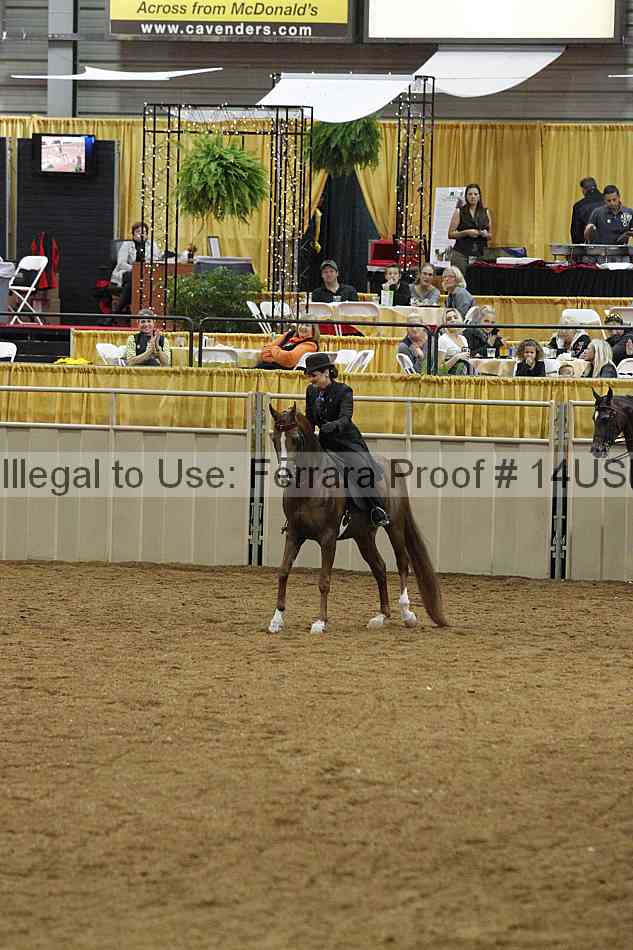 Proof 14usn_03571
