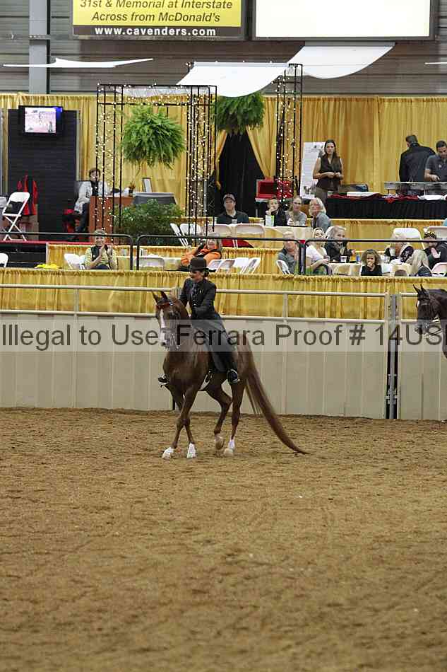 Proof 14usn_03572