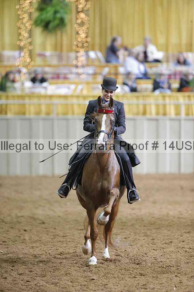 Proof 14usn_03573