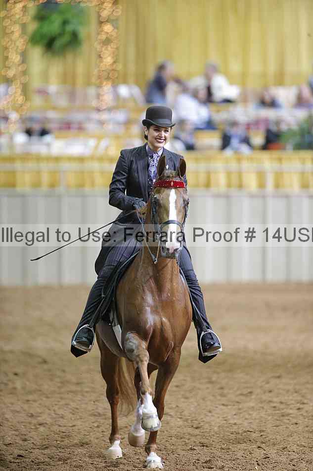 Proof 14usn_03575