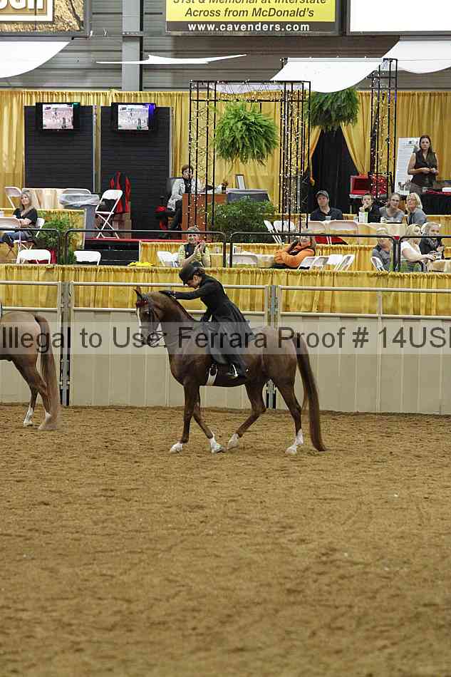 Proof 14usn_03576
