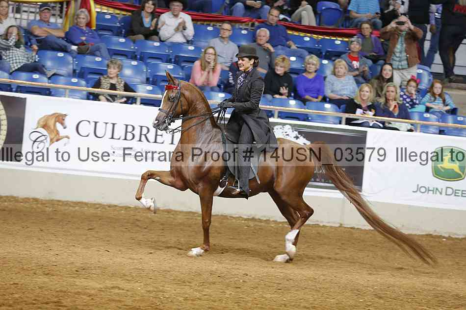 Proof 14usn_03579