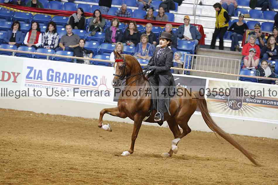 Proof 14usn_03580