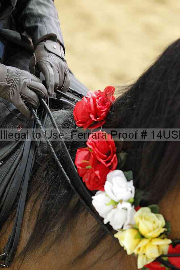 Proof 14usn_03587
