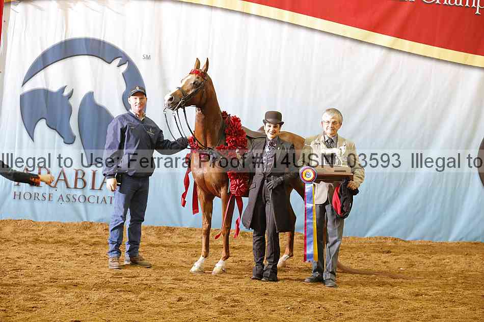 Proof 14usn_03593