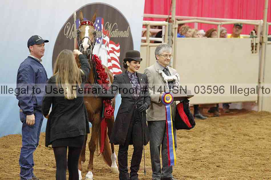 Proof 14usn_03596