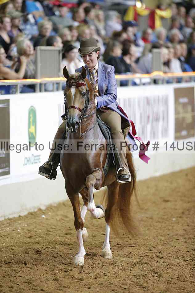 Proof 14usn_03599