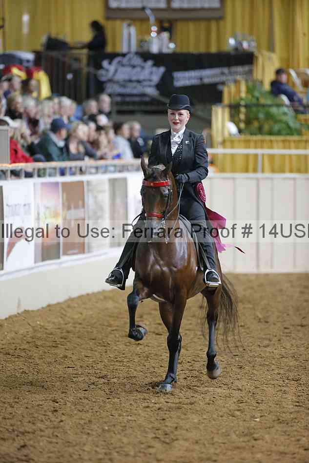 Proof 14usn_03617