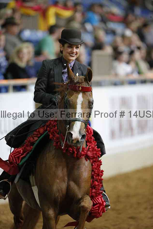 Proof 14usn_03661