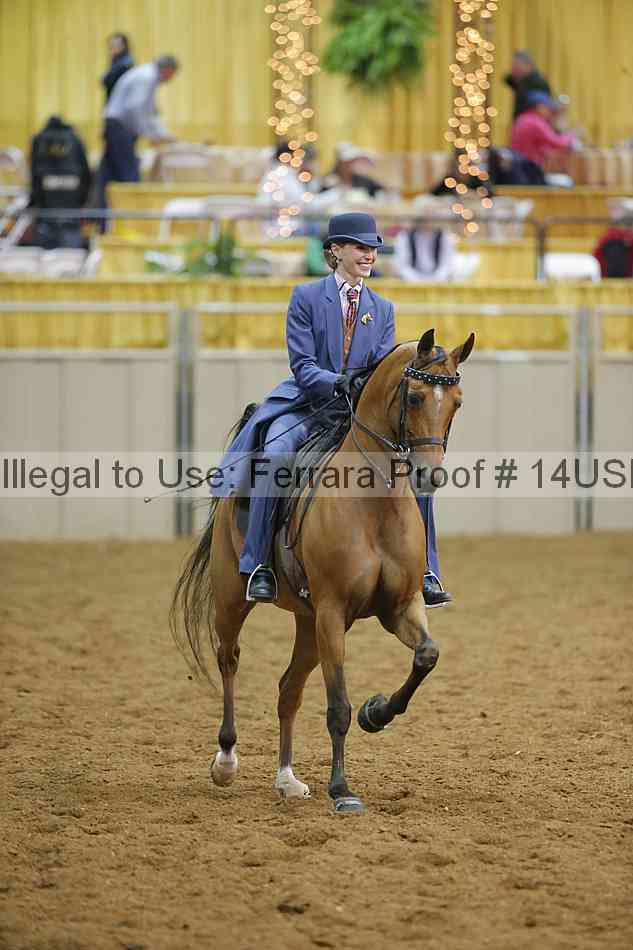 Proof 14usn_08798