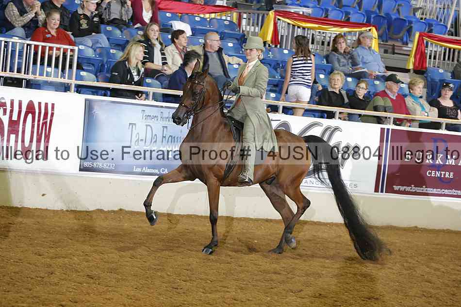 Proof 14usn_08804