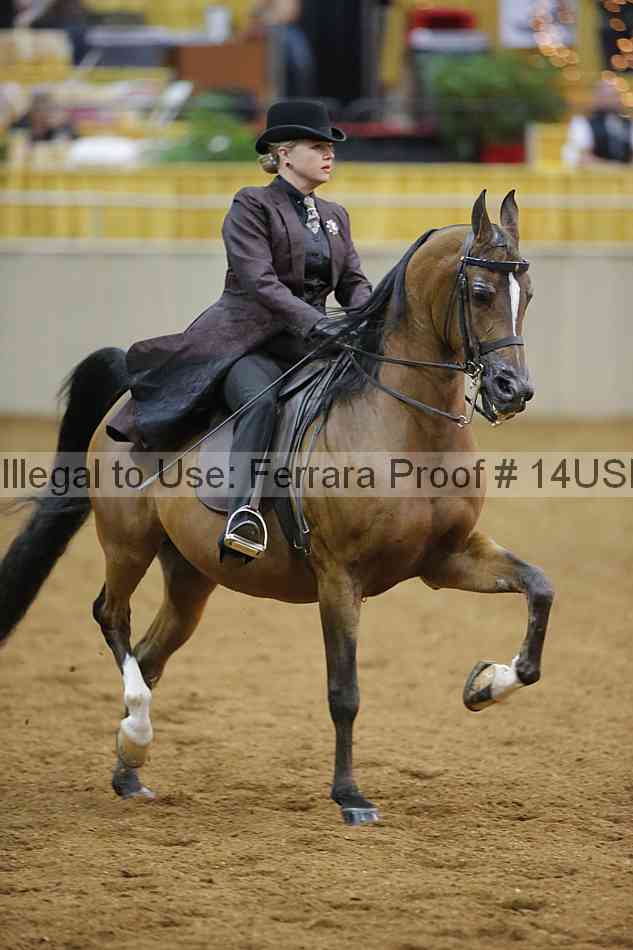 Proof 14usn_08806